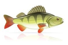 jūros gėrybės nuo pankreatito